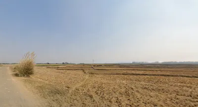 MHRV+XM, Junglee Mohal, West Bengal 735133, India preview 3