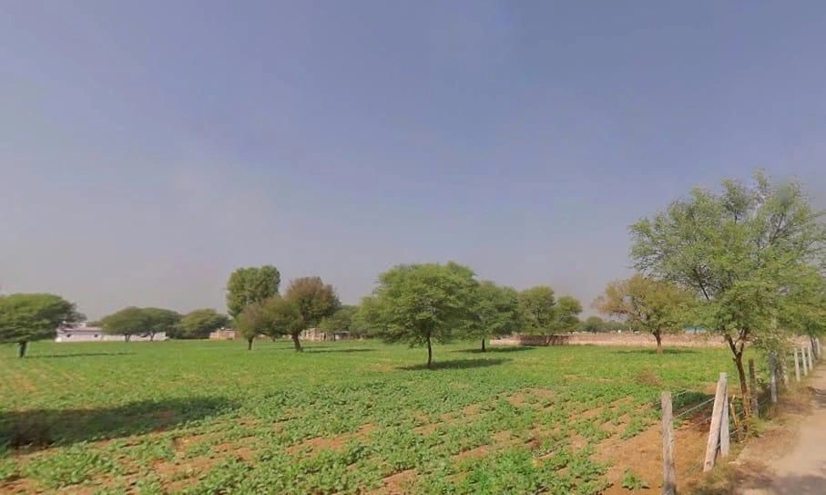 Shahpura, Rajasthan 303103, India