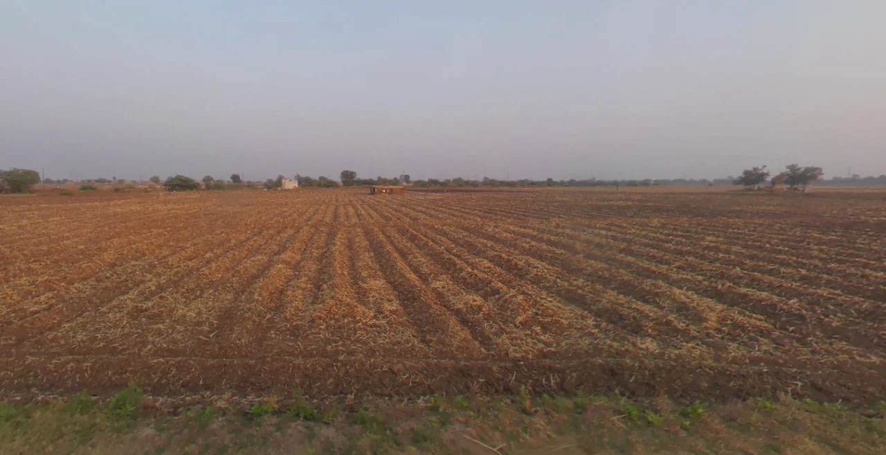 Dasalvada, Gujarat 387365, India preview 3