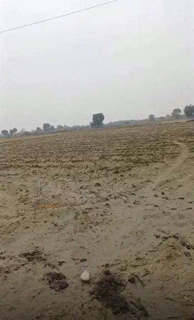 VMWJ+QMR, Gagol, Uttar Pradesh, India preview 3