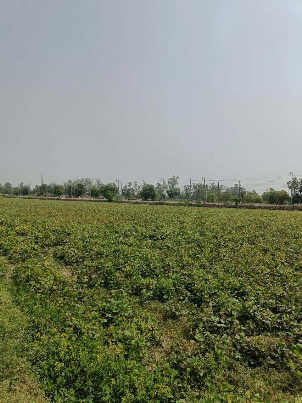Sahar, Uttar Pradesh, India preview 2