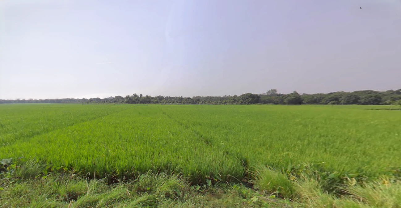 Habibpur, West Bengal, India