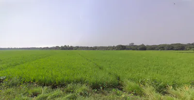 Habibpur, West Bengal, India preview 2