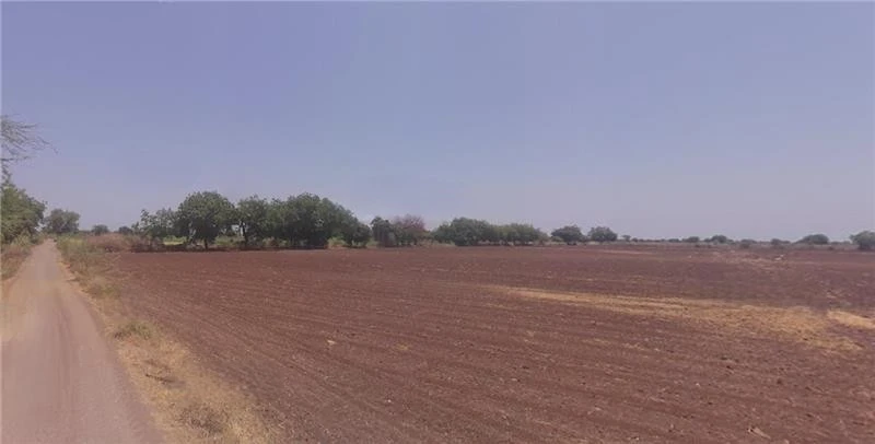 J77V+W25, Vagadiya, Gujarat 363530, India