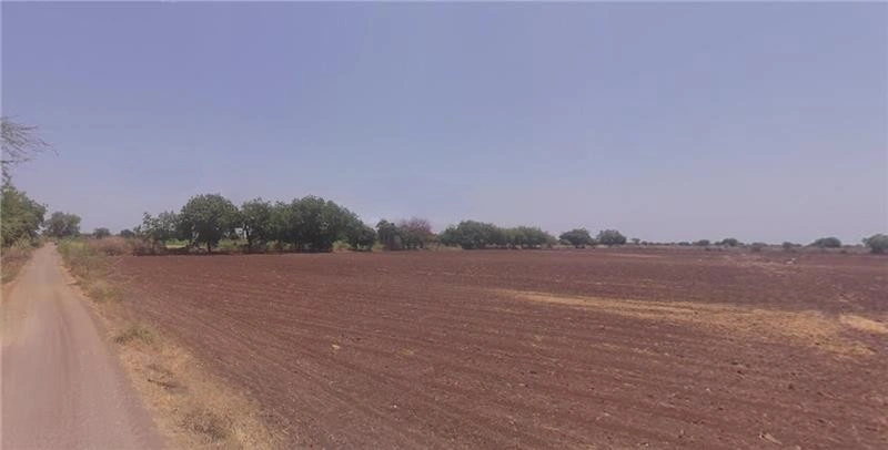 J77V+W25, Vagadiya, Gujarat 363530, India