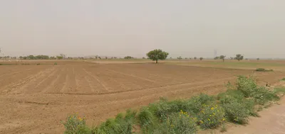 MJ9R+849, Khejra Ka Bas, Rajasthan, India preview 3