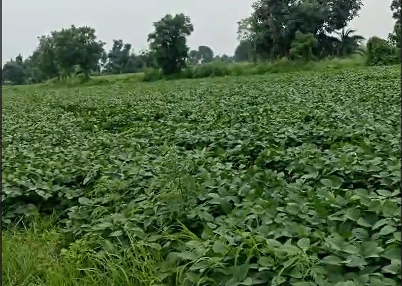 27FH+5WR, Dewas, Sadikheda, Madhya Pradesh, India