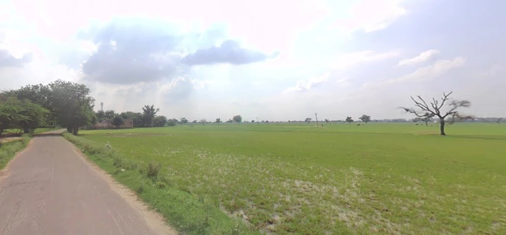 Bhanipura, Rajasthan 331411, India