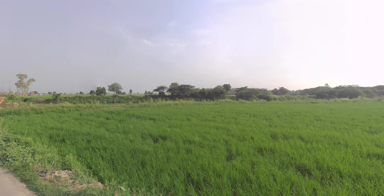 Anupshahar, Uttar Pradesh 203390, India