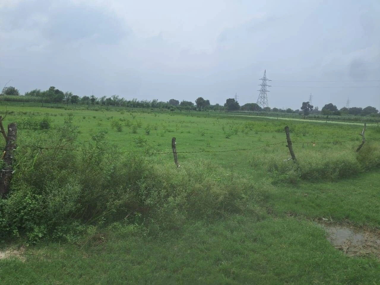 V628+C8 Raheli, Gonda, Uttar Pradesh, India