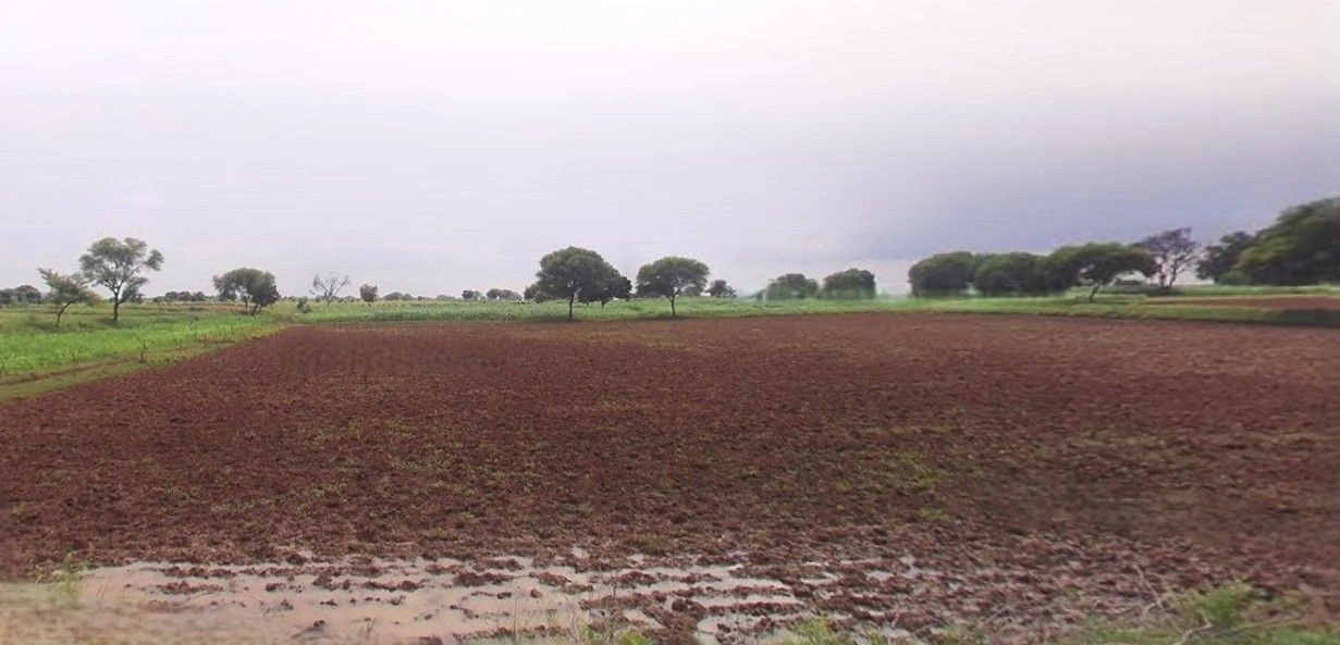 Hasanpur, Uttar Pradesh 244241, India