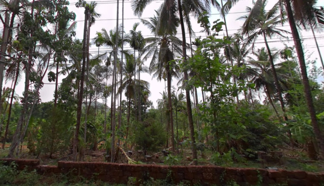 Bhagamandala, Karnataka 571247, India