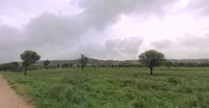 FFMX+667, Bhilwara, Danta Kalan, Rajasthan 311403, India preview 2