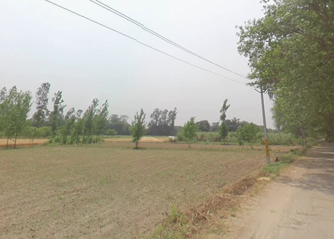 Sardhana, Uttar Pradesh 250342, India