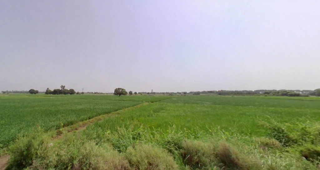 Dikadla, Haryana, India