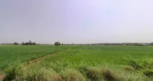 Dikadla, Haryana, India preview 3