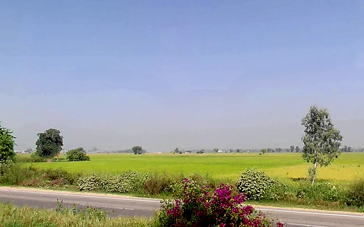 Agroha, Haryana 125047, India