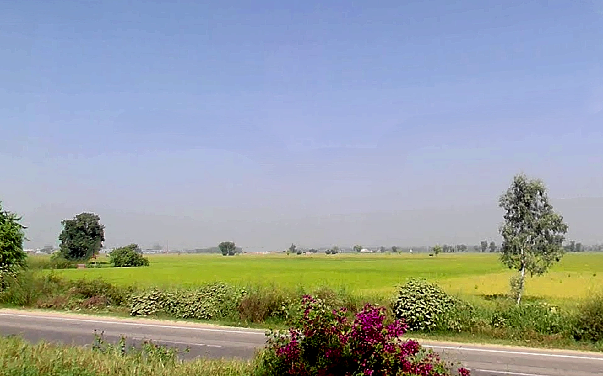 Agroha, Haryana 125047, India