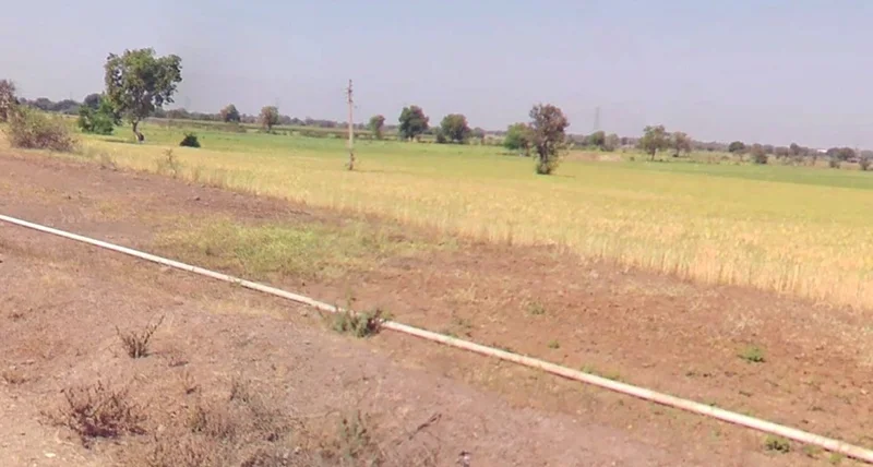 Sulgaon, Madhya Pradesh 450551, India preview 3