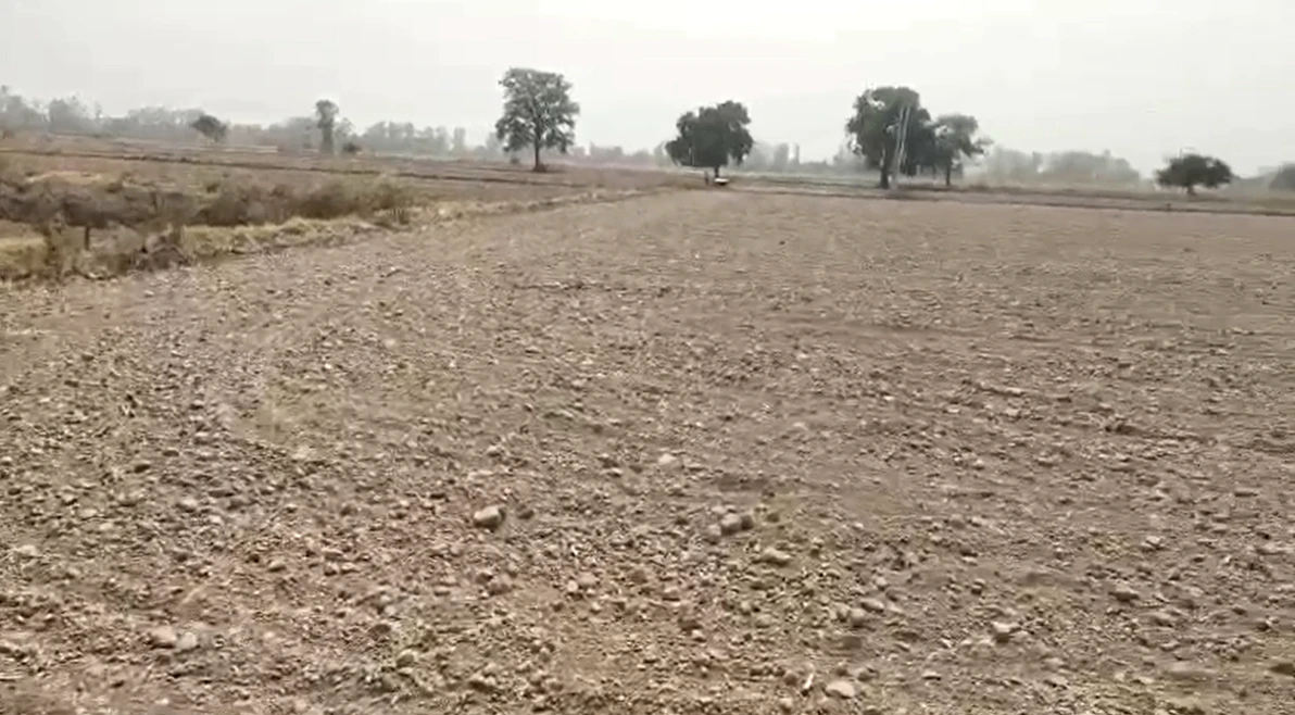 9V85+J5J, Laxmangarh, Rajasthan 321607, India
