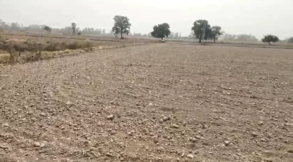 9V85+J5J, Laxmangarh, Rajasthan 321607, India