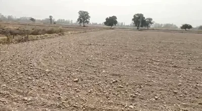 9V85+J5J, Laxmangarh, Rajasthan 321607, India preview 3