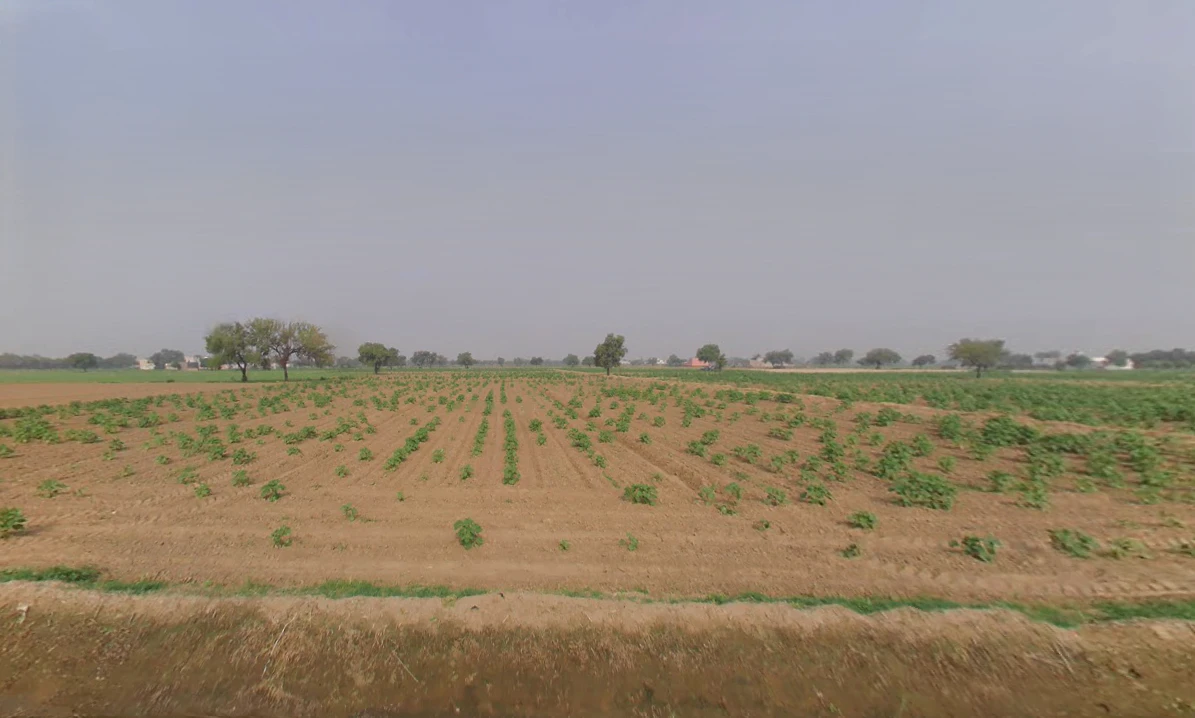 Khabran Kalan, Haryana 125053, India