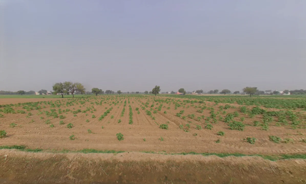 Khabran Kalan, Haryana 125053, India preview 2