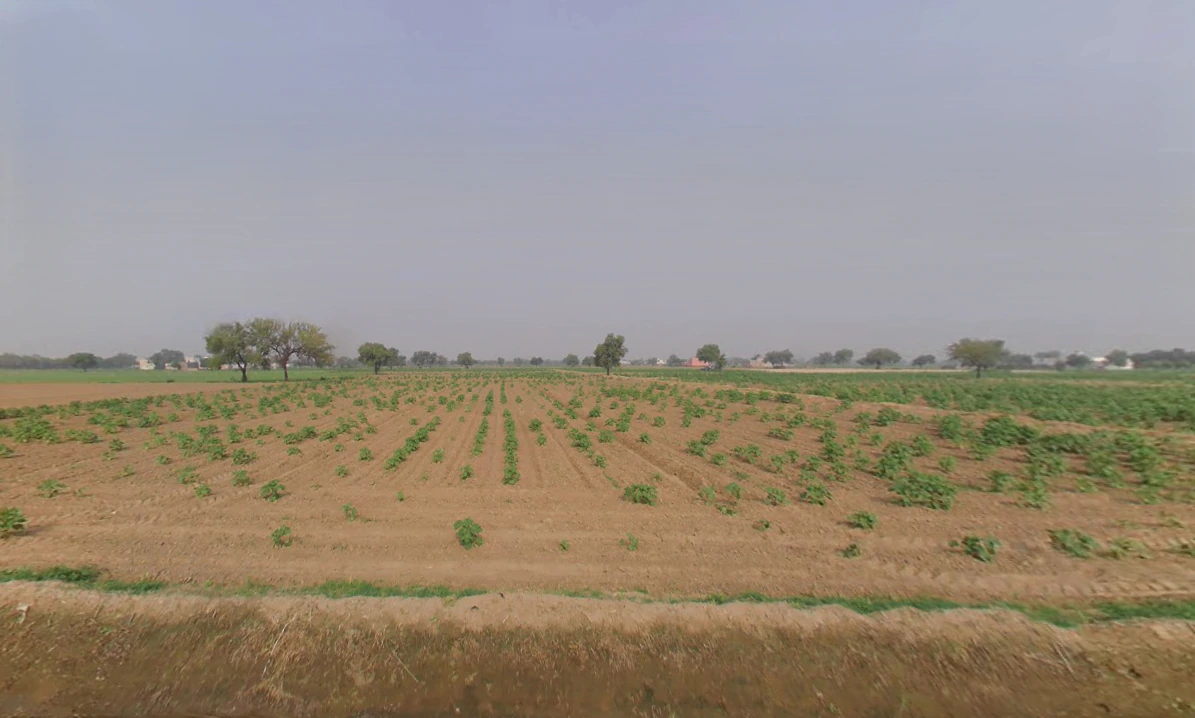 Khabran Kalan, Haryana 125053, India