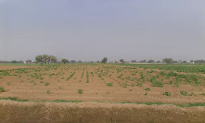 Khabran Kalan, Haryana 125053, India preview 2
