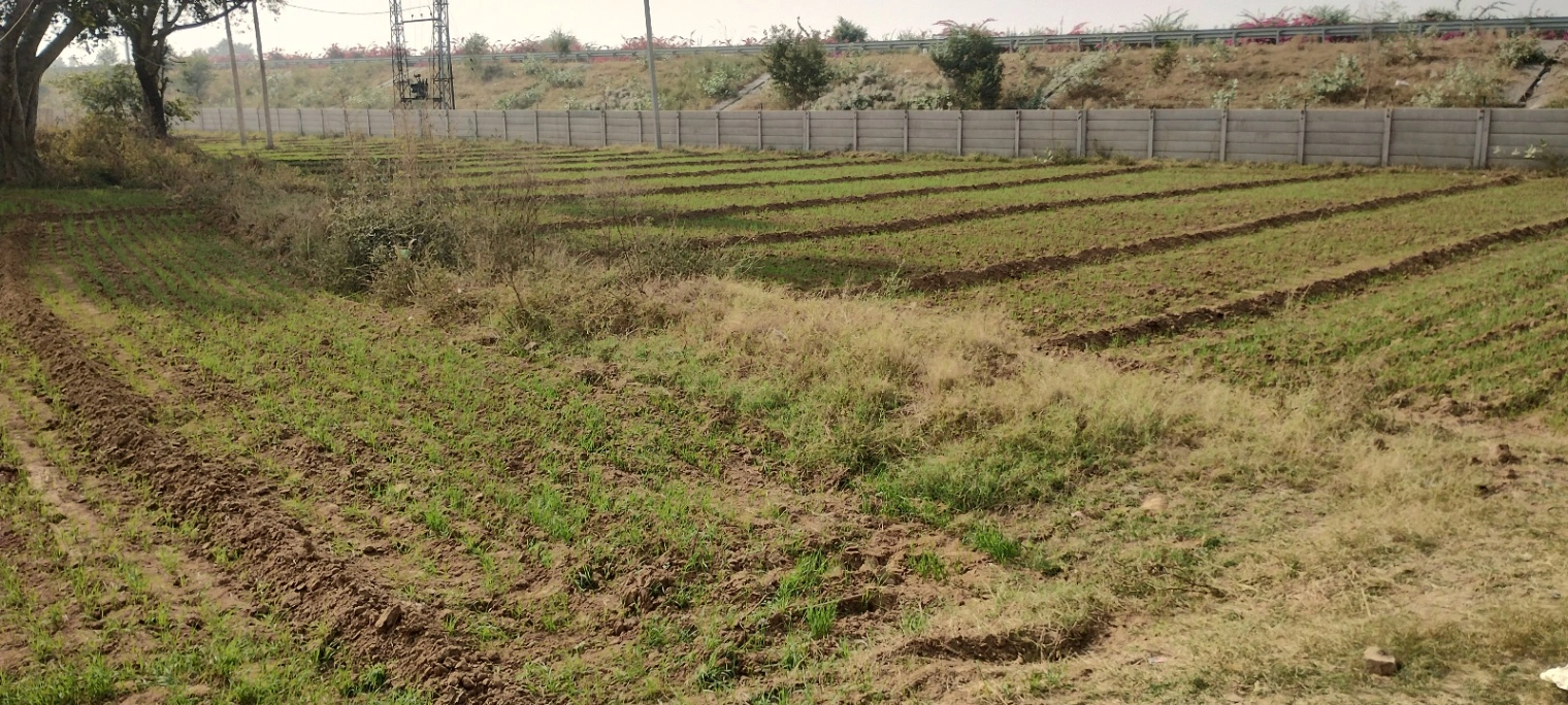 Seetal, Rajasthan 301021, India