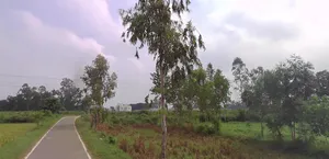 Garh Mukteshwar, Uttar Pradesh 245205, India preview 2