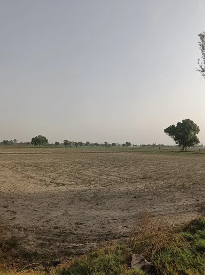 Kothun, Rajasthan 303901, India preview 2