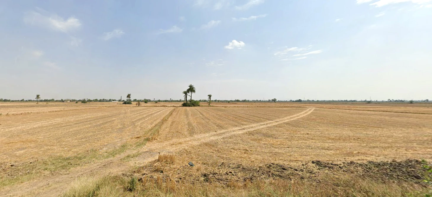 Ellenabad, Haryana 125102, India