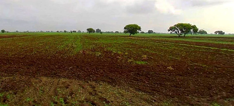 Barsana, Uttar Pradesh 281405, India preview 2