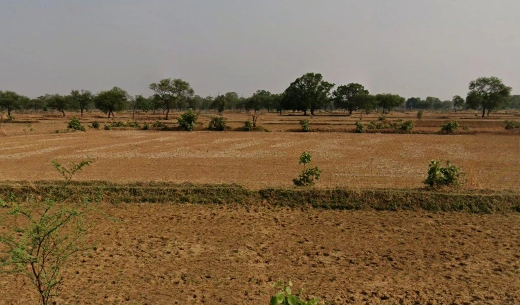 Bhaurid, Chhattisgarh, India