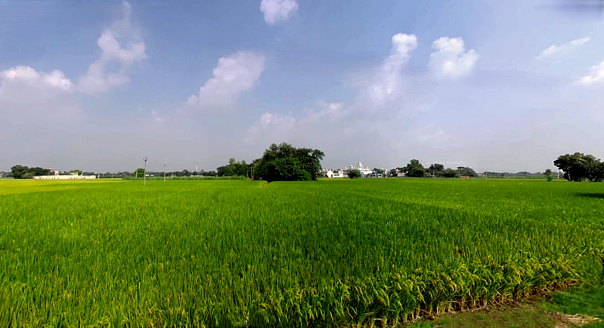 Biharigarh, Uttar Pradesh 247662, India