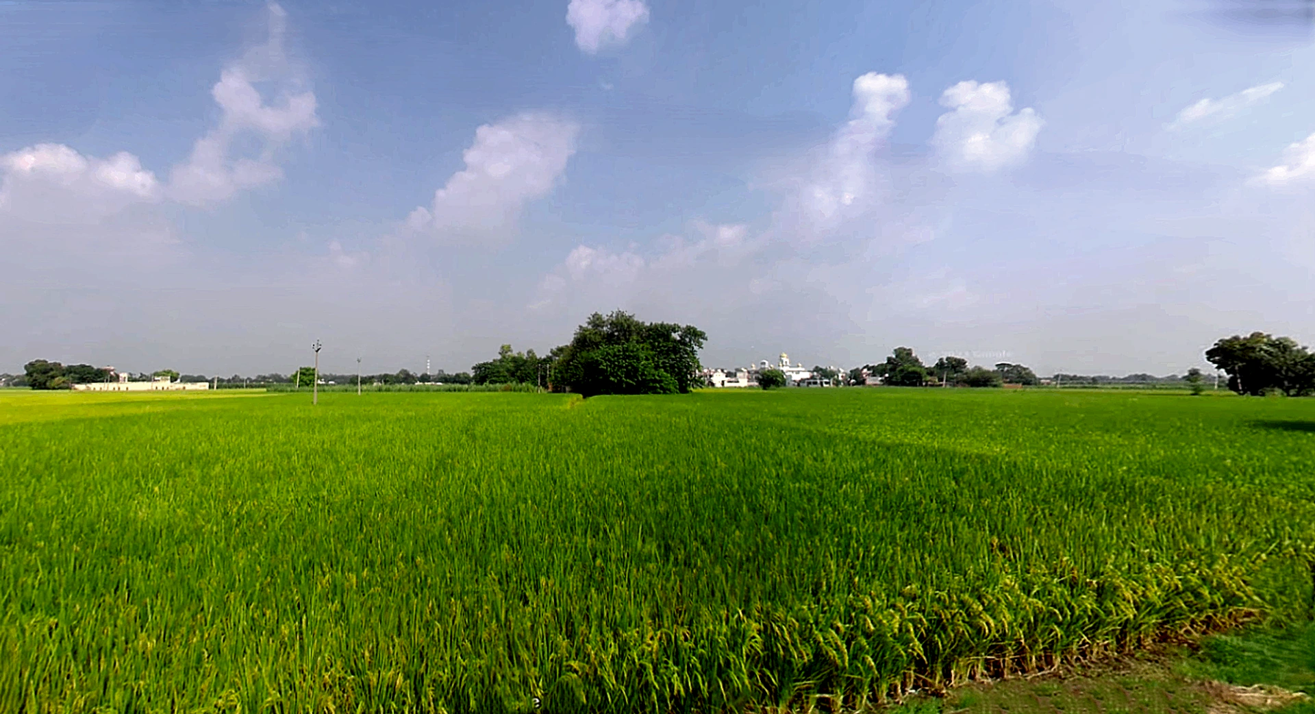 Biharigarh, Uttar Pradesh 247662, India