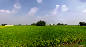 Biharigarh, Uttar Pradesh 247662, India preview 3