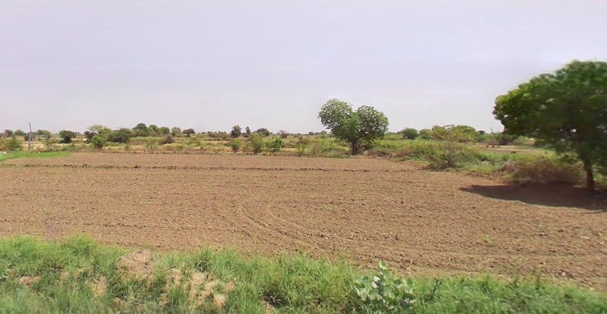 Kayamganj - Shamshabad Rd, Shamshabad, Uttar Pradesh, India