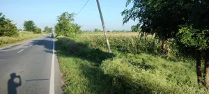 Semli, Rajasthan, India preview 2