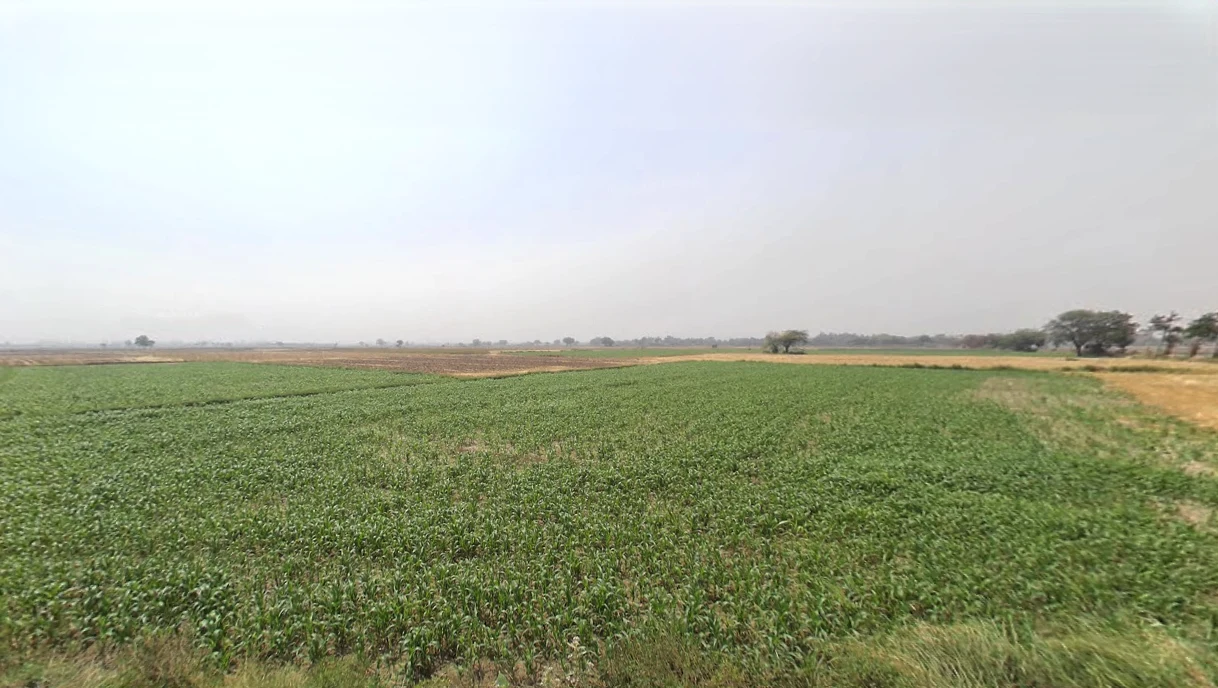 Hassangarh, Haryana 124404, India
