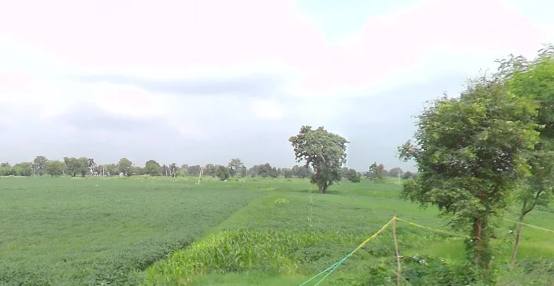 Chichli, Madhya Pradesh 487770, India preview 2