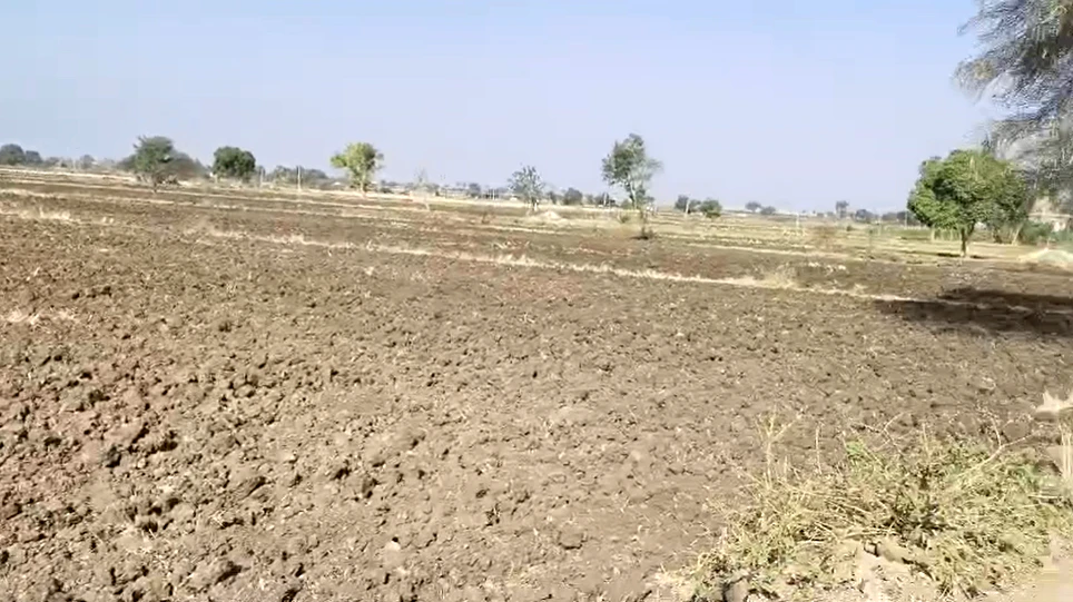 8RG6+GG5, Lakhaheda, Madhya Pradesh, India