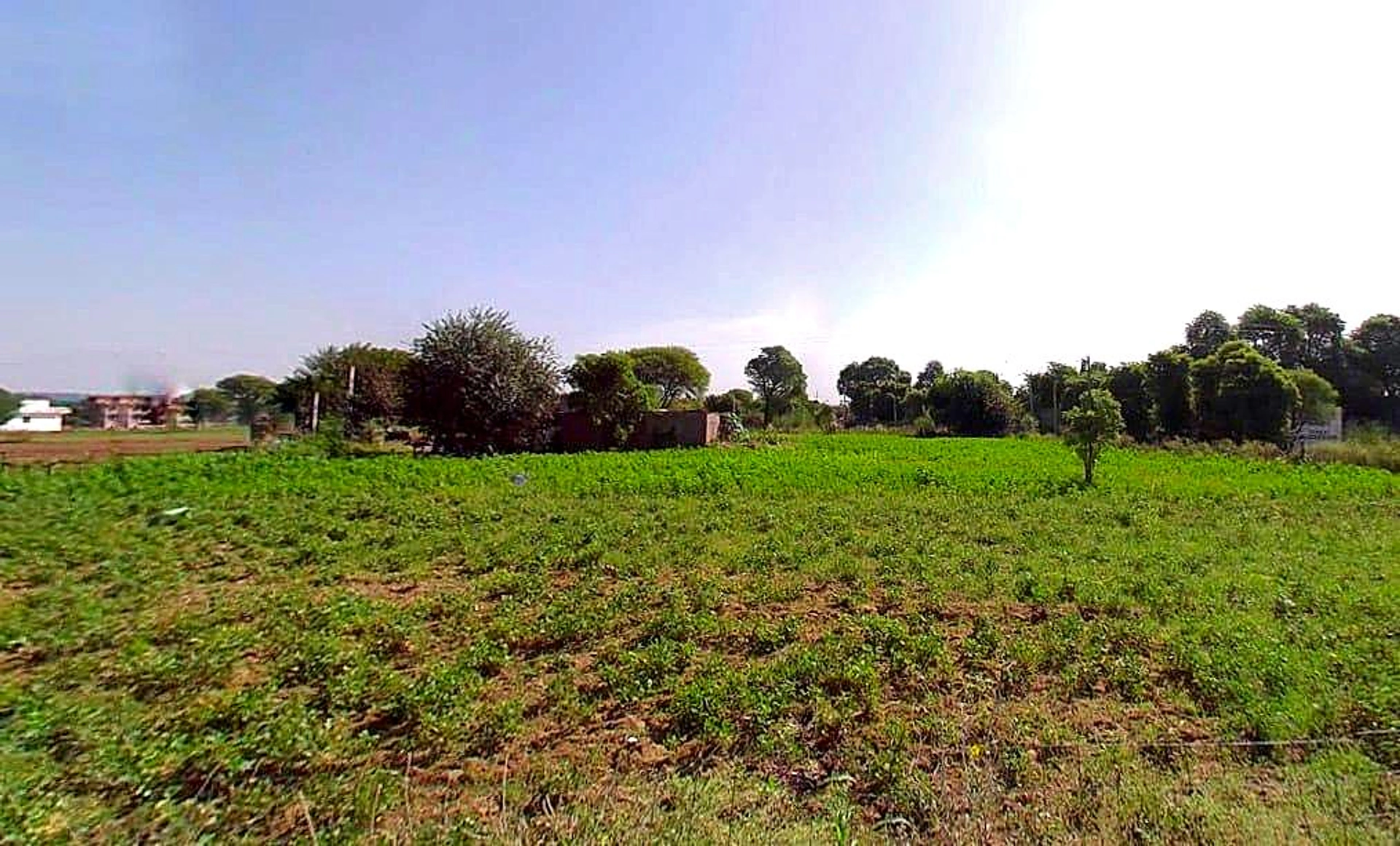 Chakur, Rajasthan, India