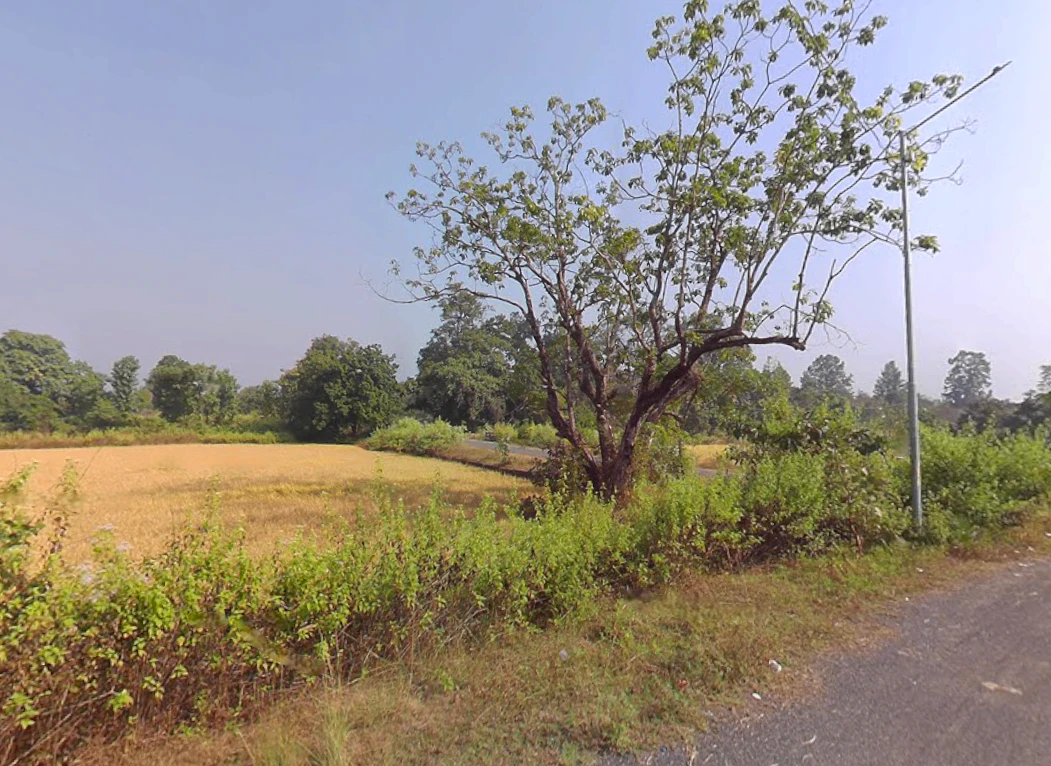 Katada, Odisha, India