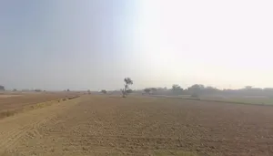 Kherari, Haryana, India preview 2
