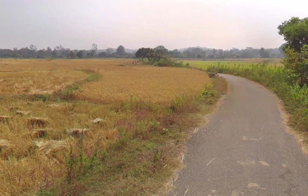 5WCX+H8H, Naya Raipur-Arang Rd, Arang, Chhattisgarh 493441, India