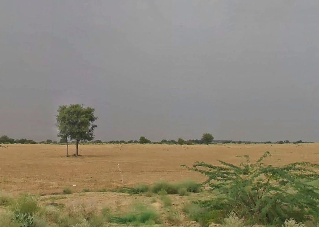 Agricultural Land in Mohangarh, Jaisalmer