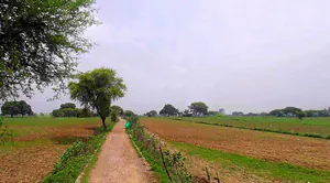 Barsana, Uttar Pradesh 281405, India preview 2